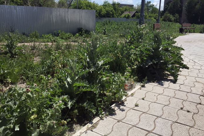 Загадочное место